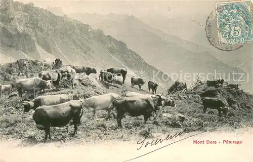 AK / Ansichtskarte Landwirtschaft weide Mont Dore 