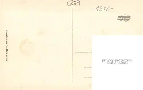 AK / Ansichtskarte Schlangenbad_Taunus Panorama Schweizertal Schlangenbad_Taunus