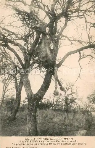 AK / Ansichtskarte Saint Thomas en Argonne Un cheval boche fut projete dans un arbre a 10 m de hauteur par nos 75 Saint Thomas en Argonne