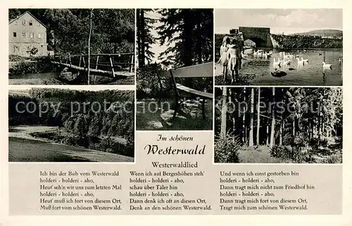 AK / Ansichtskarte Waldbrunn_Westerwald Partie im Westerwald Gaststaette Uferpartie an der Lahn Schwaene Westerwaldlied Waldbrunn_Westerwald