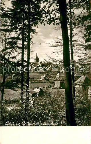 AK / Ansichtskarte Brilon Teilansicht Brilon