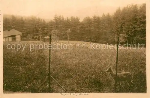AK / Ansichtskarte Hagen_Selbecketal Wildpark Hagen Selbecketal