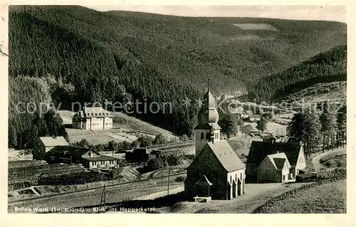 AK / Ansichtskarte Wald_Brilon Hoppecketal 