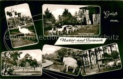 AK / Ansichtskarte Brueggen_Niederrhein Natur   und Tierparkim Schwalmtal Brueggen Niederrhein