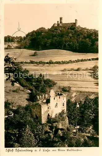 AK / Ansichtskarte Balduinstein Schloss Schaumburg mit Ruinne Balduinstein Chamois Buetten Balduinstein