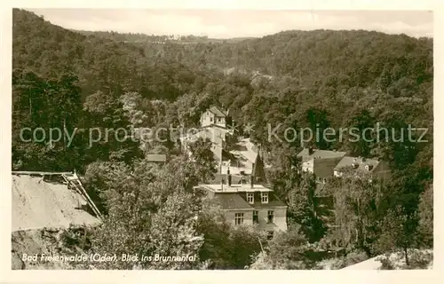 AK / Ansichtskarte Bad_Freienwalde Blick ins Brunnental Bad_Freienwalde