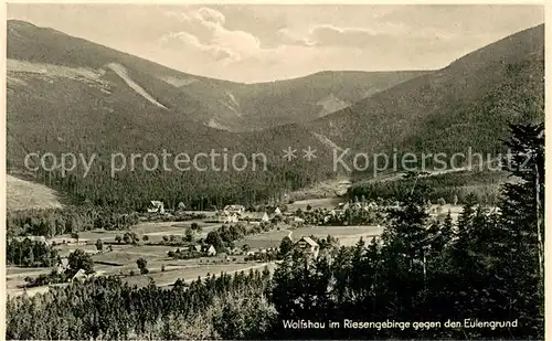 AK / Ansichtskarte Wolfshau_Riesengebirge Panorama im Eulengrund Wolfshau Riesengebirge