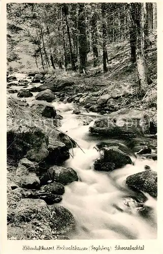 AK / Ansichtskarte Hochwaldhausen_Ilbeshausen Schwarzbachtal Waldpartie Hochwaldhausen