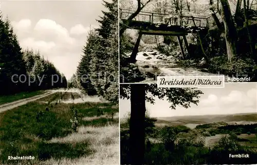 AK / Ansichtskarte Breitscheid_Hessen Aubachtal Rheinstrasse Fernblick Breitscheid Hessen