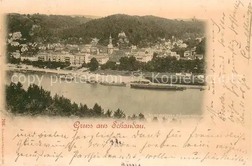 AK / Ansichtskarte Bad_Schandau Gesamtansicht Bad_Schandau