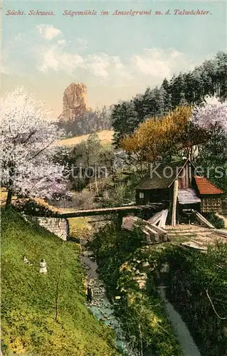 AK / Ansichtskarte Rathen_Saechsische Schweiz Saegemuehle im Amselgrund m.d. Talwaechter Rathen Saechsische Schweiz