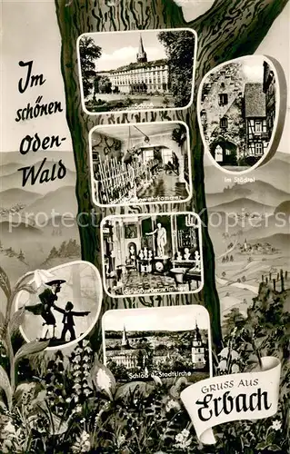 AK / Ansichtskarte Erbach_Odenwald Schloss Innenansichten Stadtkirche Torbogen Fachwerkhaus Erbach Odenwald