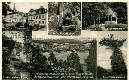 AK / Ansichtskarte Bad_Koenig_Odenwald Schloss Gesundheitsbrunnen Wybrechtstempel Muemling Baum Panorama Bad_Koenig_Odenwald