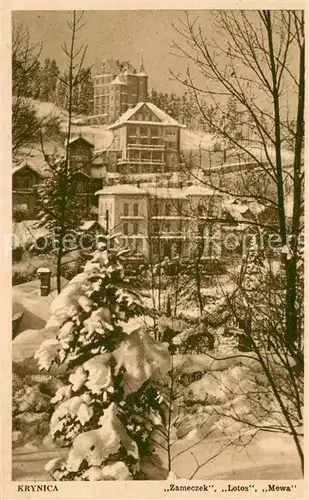 AK / Ansichtskarte Krynica__Zdroj Zameczek Lotos Mewa 