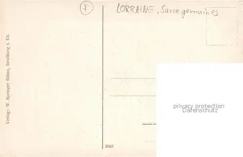 AK / Ansichtskarte Baerenthal_Lothringen_Baerenthal Panorama 