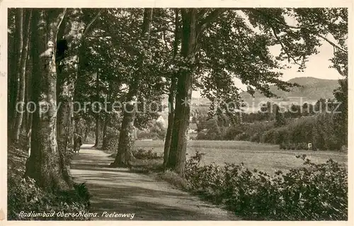 AK / Ansichtskarte Oberschlema_Erzgebirge Poetenweg Radiumbad Oberschlema_Erzgebirge