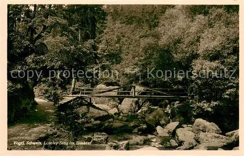 AK / Ansichtskarte Plauen_Vogtland Loreley Steg im Triebtal Plauen_Vogtland