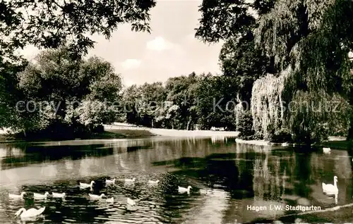 AK / Ansichtskarte Hagen_Westfalen Stadtgarten mit Teich Hagen_Westfalen