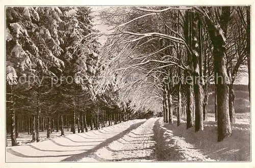 AK / Ansichtskarte Annaberg Buchholz_Erzgebirge Doehlbergstrasse im Winter Annaberg Buchholz