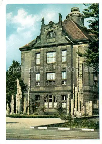 AK / Ansichtskarte Chemnitz Museum mit verkieselten Araukarienstaemmen sog. versteinerter Wald Chemnitz