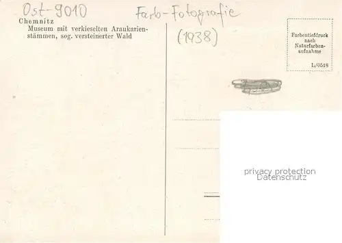 AK / Ansichtskarte Chemnitz Museum mit verkieselten Araukarienstaemmen sog. versteinerter Wald Chemnitz