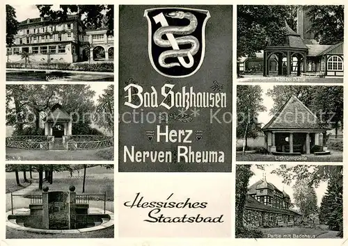AK / Ansichtskarte Bad_Salzhausen Kurhaus Konzerthalle Lithiumquelle Badehaus Hessisches Staatsbad Wappen Bad_Salzhausen