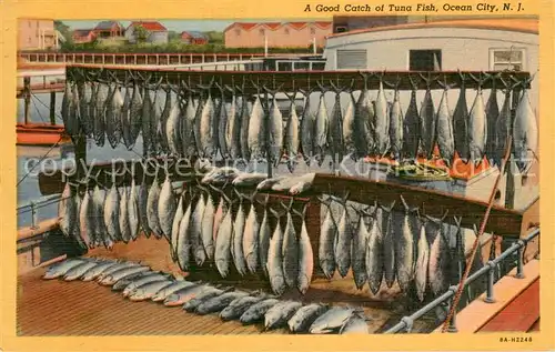AK / Ansichtskarte Ocean_City_New_Jersey A Good Catch of Tuna Fish 