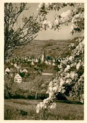 AK / Ansichtskarte Creglingen Panorama Creglingen