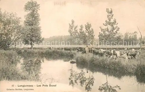 AK / Ansichtskarte Longjumeau Les Pres Duval Longjumeau