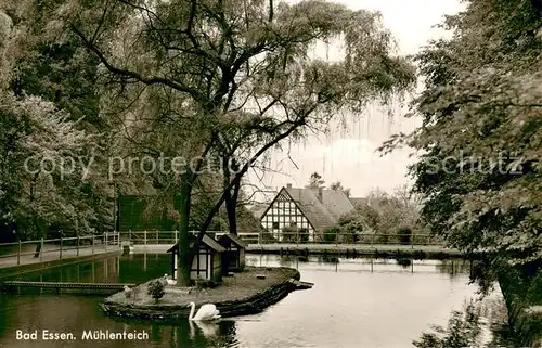 AK / Ansichtskarte Bad_Essen Muehlenteich mit Schwan Bad_Essen