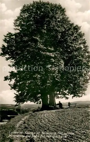 AK / Ansichtskarte Kierspe Thingslinde Kierspe