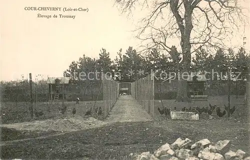 AK / Ansichtskarte Cour Cheverny Elevage de Troussay Cour Cheverny