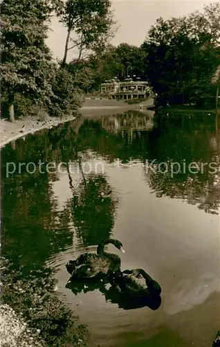 AK / Ansichtskarte Dortmund Tierpark Grosser Teich mit Raststaette Dortmund