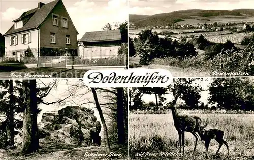 AK / Ansichtskarte Dodenhausen Pension Hartann Panorama Exheimer Stein Reh mit Kitz Dodenhausen