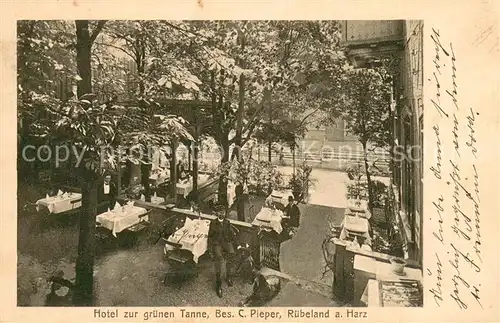 AK / Ansichtskarte Ruebeland_Harz Hotel zur gruenen Tanne Ruebeland_Harz