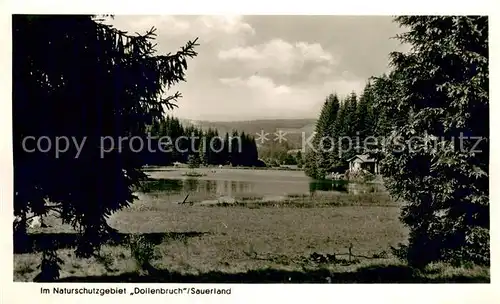 AK / Ansichtskarte Kirchhundem Landschaftspanorama Naturschutzgebiet Dollenbruch See Kirchhundem