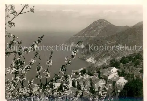 AK / Ansichtskarte Canari Printemps au Cap Corse Canari