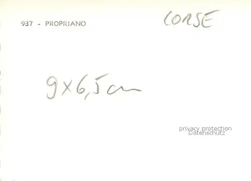 AK / Ansichtskarte Propriano Hafen Propriano