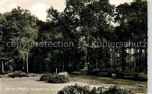 AK / Ansichtskarte Herten_Westfalen Anlagen am Katzenbusch Herten_Westfalen