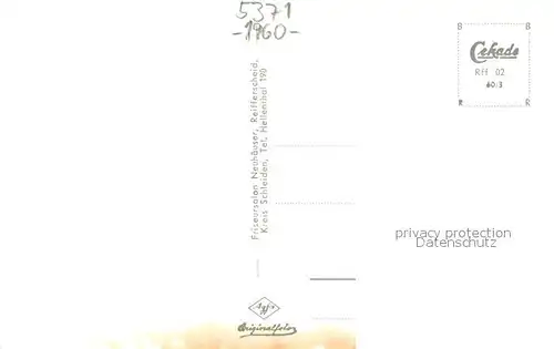 AK / Ansichtskarte Reifferscheid_Eifel Fliegeraufnahme Reifferscheid Eifel