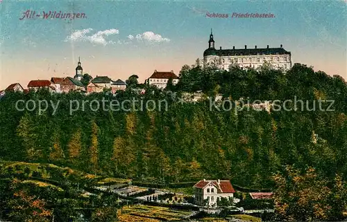 AK / Ansichtskarte Wildungen_Bad Teilansicht Alt Wildungen Schloss Friedrichstein Gaertnerei Wildungen_Bad