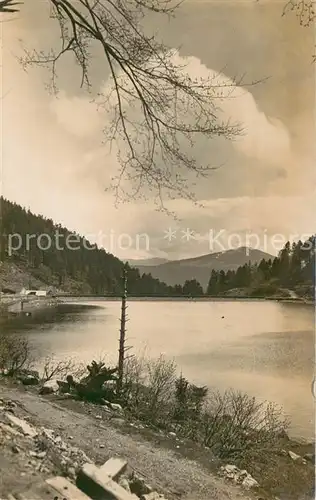 AK / Ansichtskarte Munster_68_Haut_Rhin_Elsass Lac du Schiessrotried Vallee de Munster 