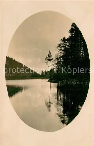 AK / Ansichtskarte Munster_68_Haut_Rhin_Elsass Aux bords du Lac du Schiessrotried 