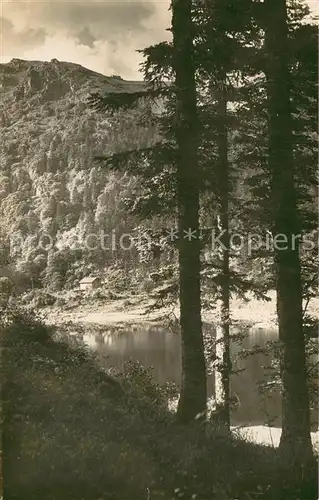 AK / Ansichtskarte Munster_68_Haut_Rhin_Elsass Lac du Schiesrotried Natur 