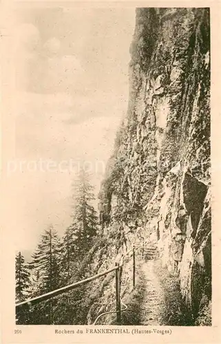 AK / Ansichtskarte Frankenthal_Vosges Rochers 