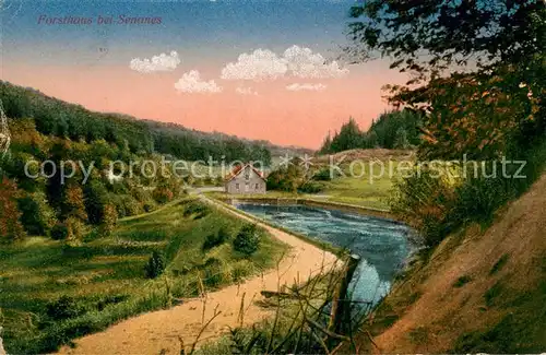 AK / Ansichtskarte Senones_Vosges Panorama mit Forsthaus Senones Vosges