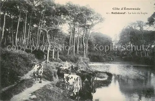 AK / Ansichtskarte Rotheneuf Le bois du Lupin Cote d Emeraude Rotheneuf