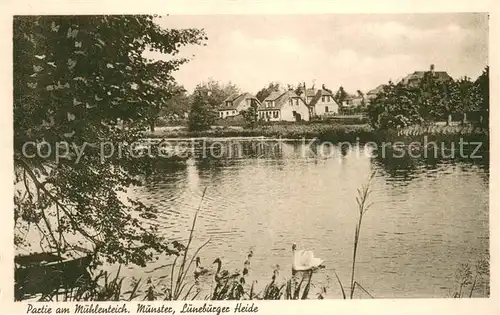 AK / Ansichtskarte Munster_oertze Partie am Muehlenteich Munster_oertze