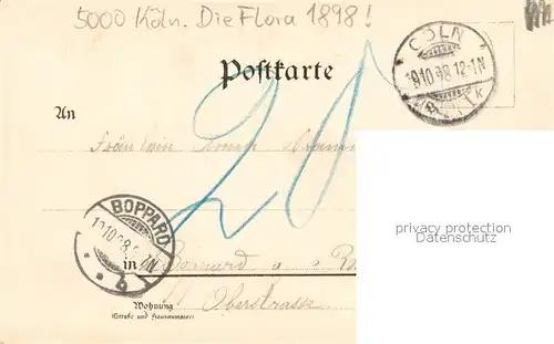 AK / Ansichtskarte Coeln_Rhein Grafs aus der Flora Coeln_Rhein