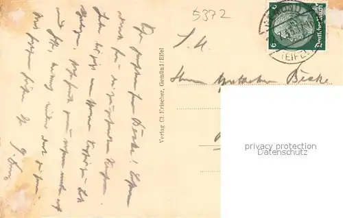 AK / Ansichtskarte Gemuend_Eifel Panorama Gemuend Eifel